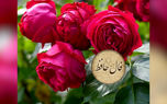 فال حافظ با تفسیر در 22 اردیبهشت + فیلم
